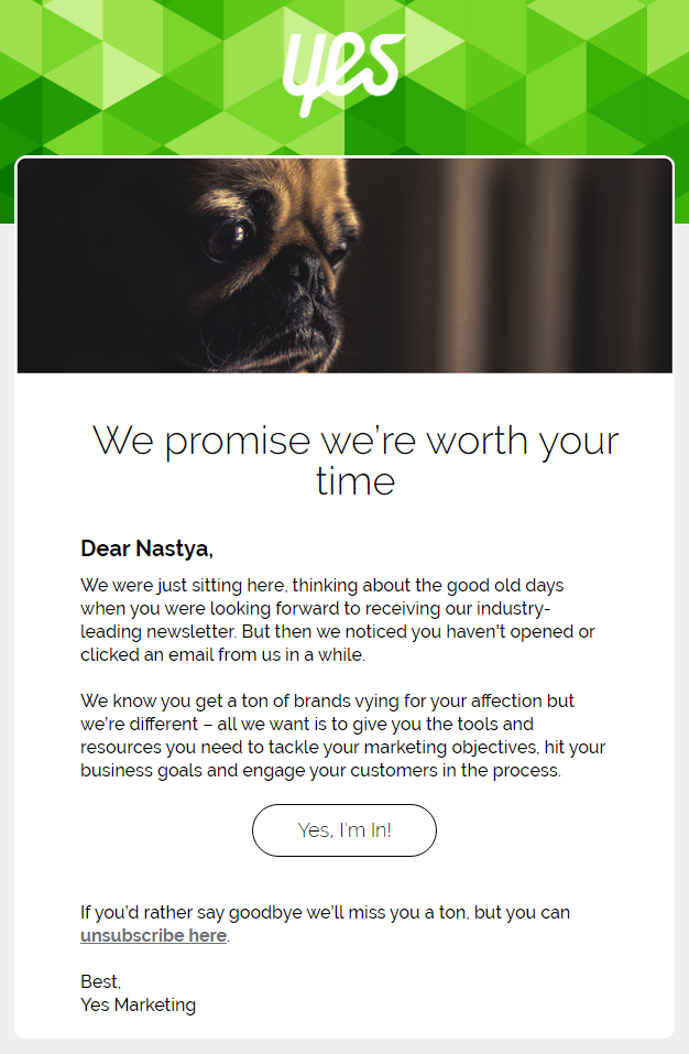 yes marketing re-engagement email example