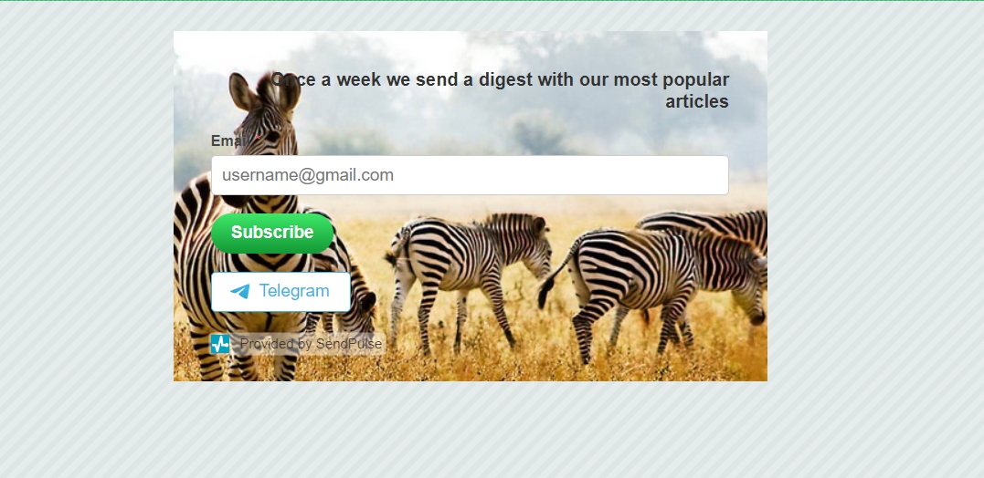Multichannel subscription form Multichannel subscription form