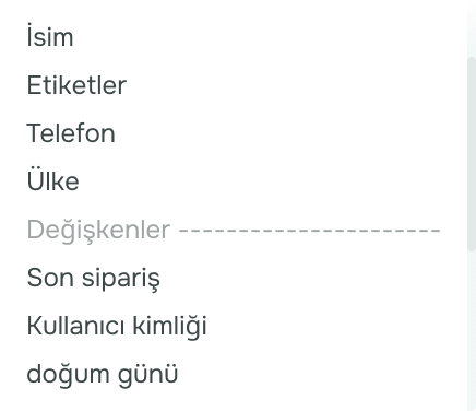 Segmentasyon